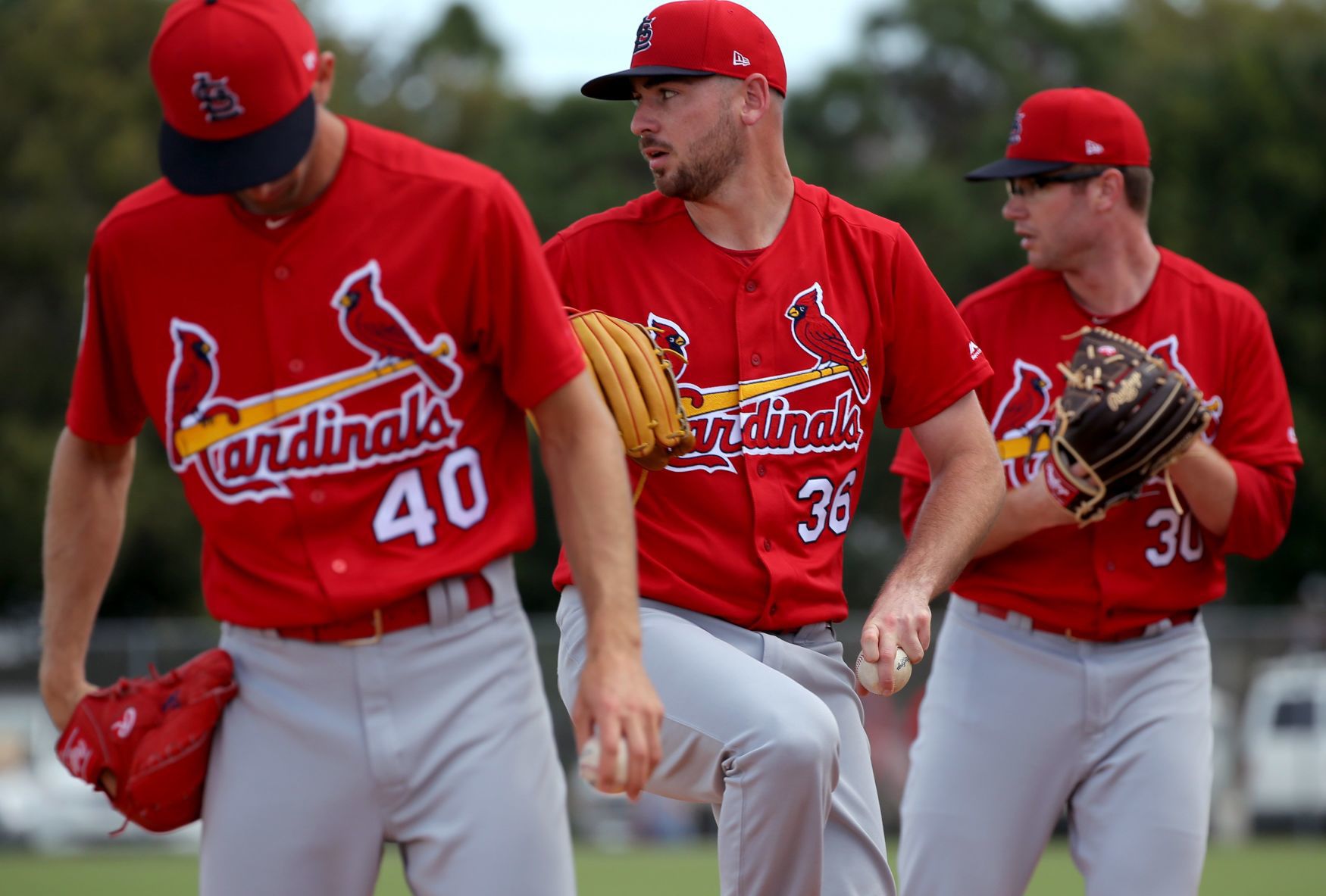 2019 Cardinals spring training